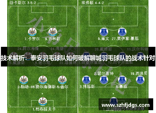 技术解析：泰安羽毛球队如何破解聊城羽毛球队的战术针对