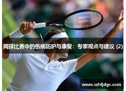 网球比赛中的伤病防护与康复：专家观点与建议 (2)