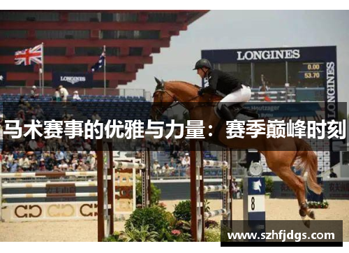 马术赛事的优雅与力量：赛季巅峰时刻